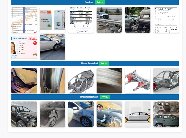 Hasar Ekspertiz Demo Formu